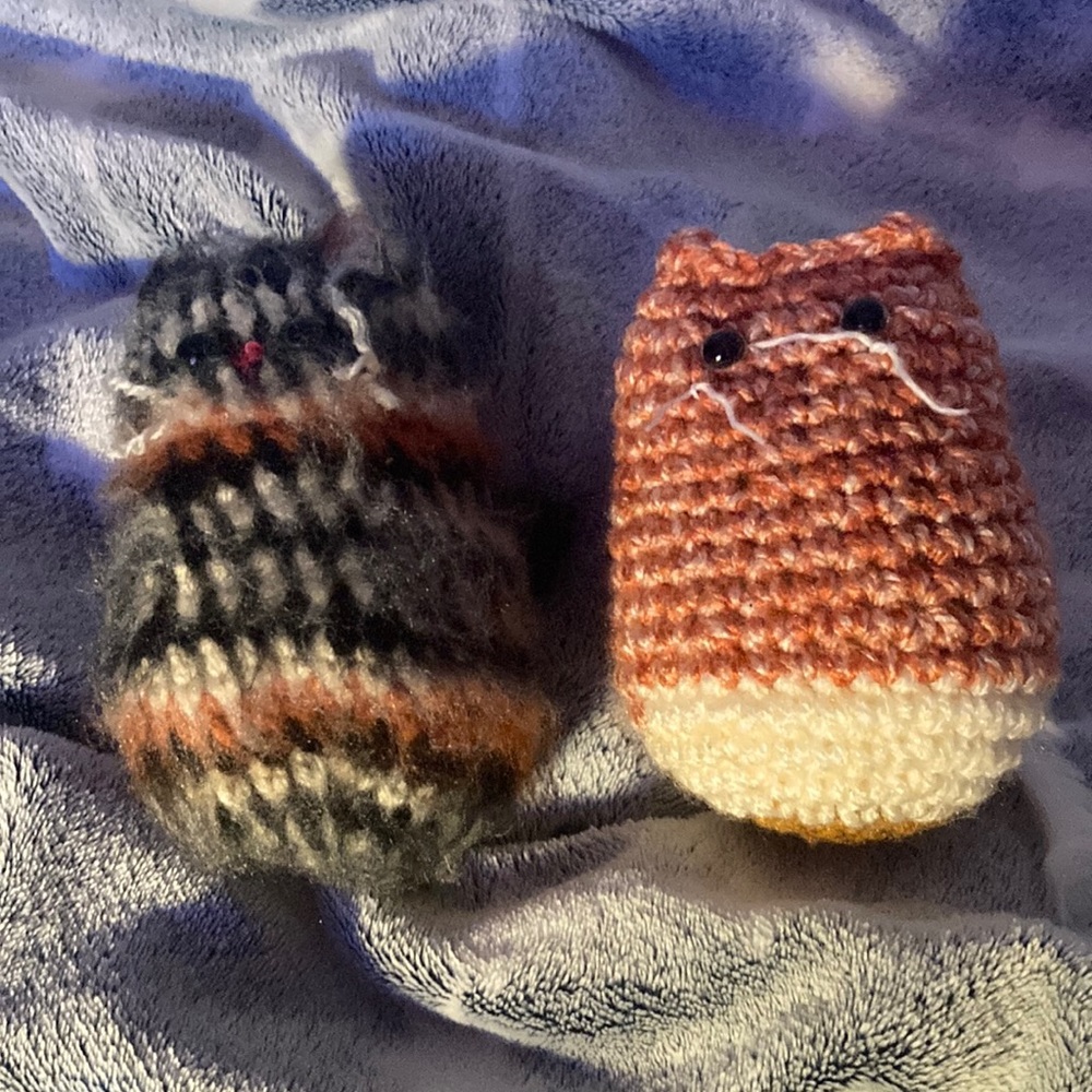 These are cats if u couldn’t tell